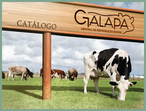 Catlogo Cabanha Galapa